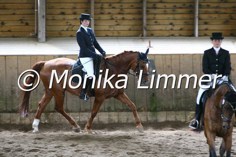 006M4782_Dressur A.JPG